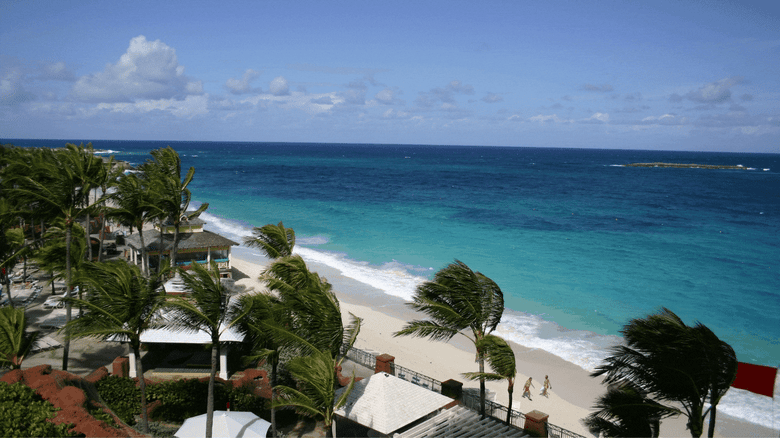 Can High Winds Break Windows? What Every FL Homeowner Should Know